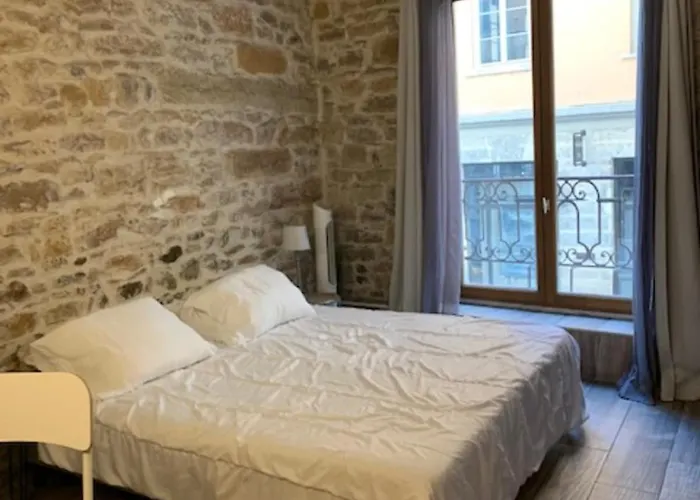 Appartement With Exposed Stone Vieux Lyon